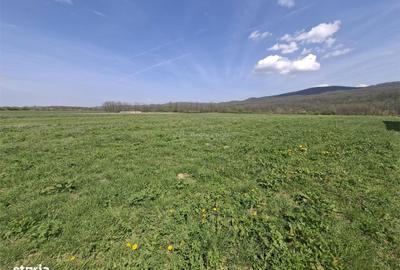 Spațiu comercial, în Central