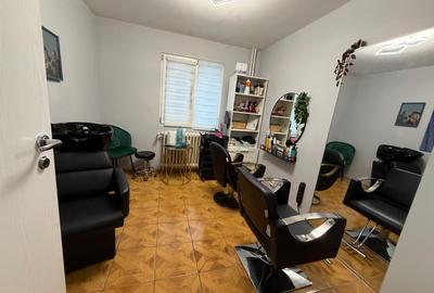 Dristor Nicolae Grigorescu - Camil Ressu - Scoala 88 - langa Parc IOR - 4