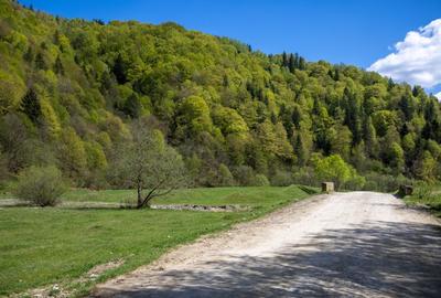 Teren Construcții extravilan de 1893 mp, în Plaiul Foii - 7