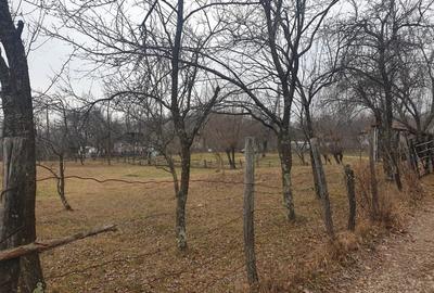 Teren de 2911 mp, în Brebu - 3