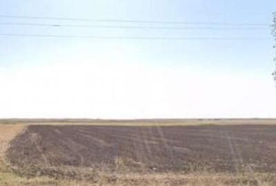 Teren extravilan cota parte 3/16 Amaru, ID: R2764932 - 5