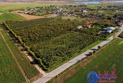 ID 7785 LIVADA SABANGIA DE VANZARE - 6