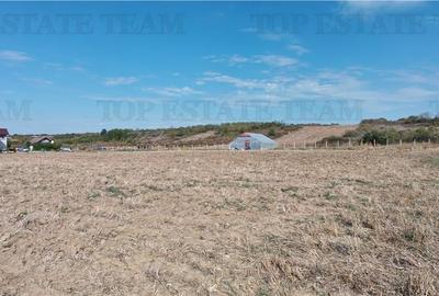 Ferma 3,3ha, din care 2,5ha intravilan, vila 7 camere, D+P+E+M, casa pentru munc - 6