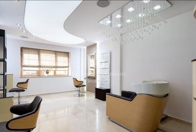 Vila/Casa Clinica /Salon de infrumusetare Lacul Tei  /Parcul Circului Vila/Casa Clinica /Salon de infrumusetare Lacul Tei  /Parcul Circului - 4