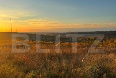 Teren Penoramic de 2700mp, Podgoria - 2