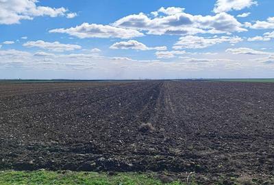 Teren de 30000 mp, în Cudalbi - 2