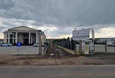 Teren de 10000 mp, în Vest - 15