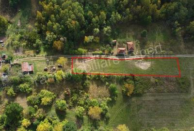 Teren de 2250 mp, în Ioanicești - 8