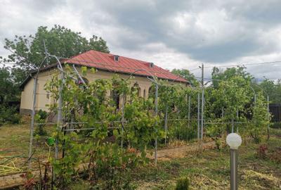Casa de vanzare Comuna Viisoara-Judetul Teleorman