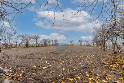 Casa cu anexe si teren de 759mp in Misca - 1