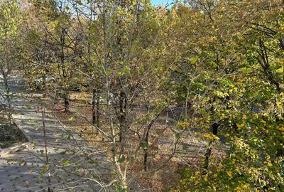 Inchiriere 2 camere Unirii Bulevard renovat birouri locuinta - 5