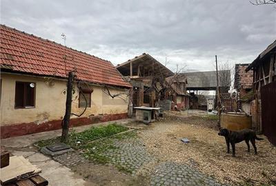 Casă cu 4 camere cu Teren 1167 Mp în Biharia - 3