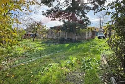 Teren de vanzare in Valu lui Traian, Calea Dobrogei - 9