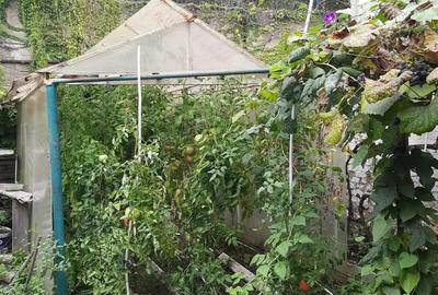 Re?i?a - Casa cu 3 camere, atelier ?i sera - 7