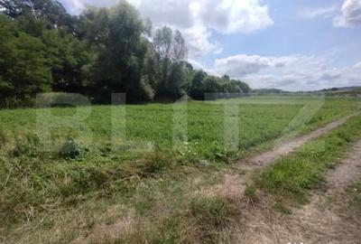 Teren de 850 mp, în Șintereag - 2