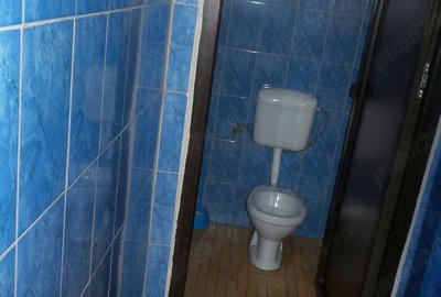 Spațiu comercial, de 450 mp, în Boțârlău - 5