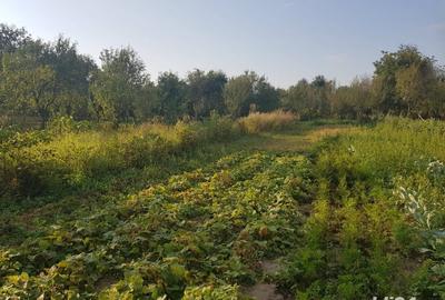 Vand casa, teren agricol si padure in Cheud - 1
