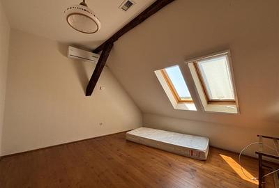 Casă cu 10 camere cu Piscina în Paleu - 16