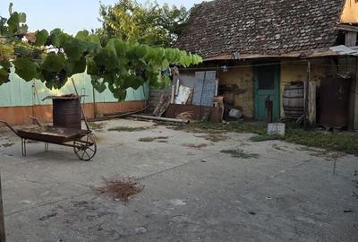 Casă individuală cu 3 camere cu Canalizare în Orțișoara - 9