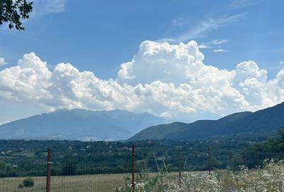 Zarnesti - Tohanita - 5