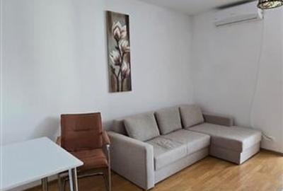Berceni-Grand Arena, garsoniera spatioasa, bloc reabilitat, mobilata-utilata - 4