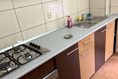 Apartament cu 2 camere semidecomandat în Banat - 3