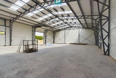 Hală nouă în zona industrială Sânandrei - 6