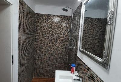 Zona Martha Bibescu - constructie tip duplex, P+1+M - 14