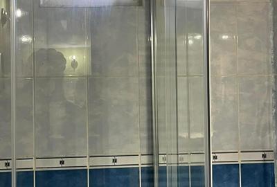 Vilă cu 7 camere, 3 băi, P+M, garaj, terasă, 1130 mp teren, Sântandrei, Bihor. - 10