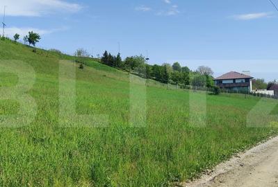 Spațiu comercial, în Valea - 6