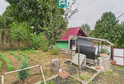 Căsuță de vacanță pentru pescari în Lipova - 3