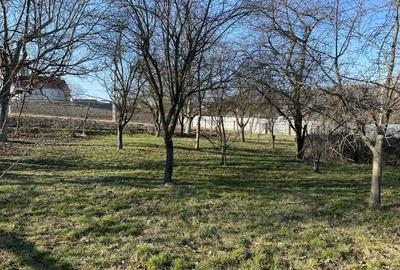 Casă cu 2 camere în Central - 4