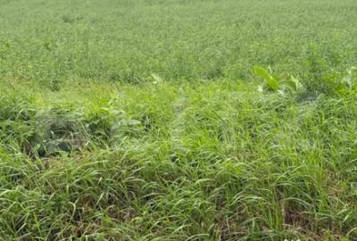 Teren de 1213 mp, în Central