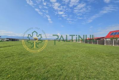 Teren agricol extravilan de 1500 mp, în Șelimbăr - 4