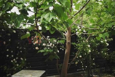 Apartament cu 2 camere decomandat, mobilat în Odăi - 13