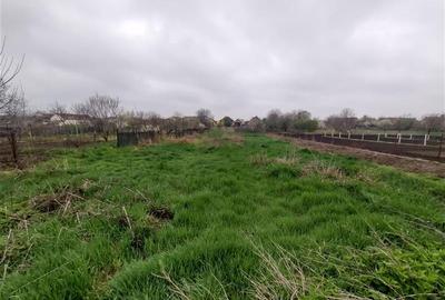 Casă individuală cu 4 camere cu Teren 1798 Mp în Iecea Mare - 3