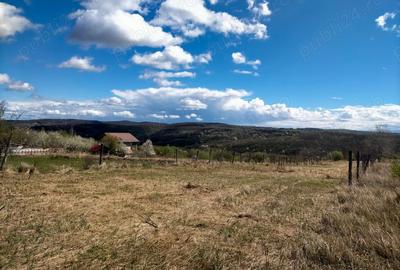 Teren de 2700 mp, în Șura Mare - 1
