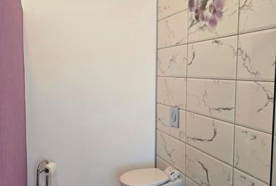 Vindem vila cu piscina si teren tenis, Branesti - Pasarea, renovata lux, - 22