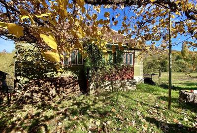 Casă cu 4 camere cu Teren 3400 Mp în Cornițel - 3