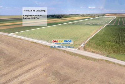 Teren agricol extravilan 2.6 ha - 26.000 mp - Valcelele, Buzau - 8