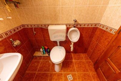 Casa cu 5 dormitoare, foisor, sauna, beci,pod garaj si gradina - 15