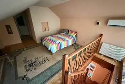 Casa cu garaj si 2 seminee, langa Parcul Mare – Str. Victoriei, Baia Mare - 11