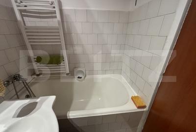 Apartament cu 2 camere semidecomandat, mobilat în Botizului