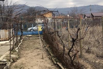 Casă cu 5 camere cu Teren 330 Mp în Valea Nucului - 1
