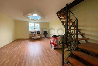 Casă cu 4 camere cu Teren 5276 Mp în Alparea - 7