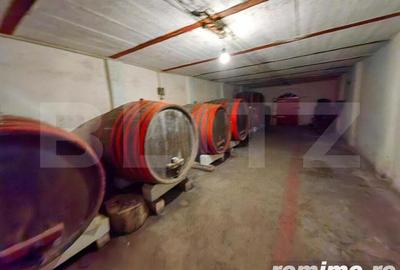 Casă cu 5 camere cu Teren 40000 Mp în Șard - 4