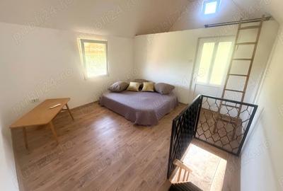 Casa la Mako, pe malul Muresului - 3