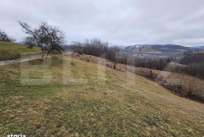 Spațiu comercial, în Abrud-Sat - 3