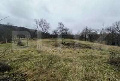 Casă cu 4 camere cu Teren 3000 Mp în Cășeiu - 1