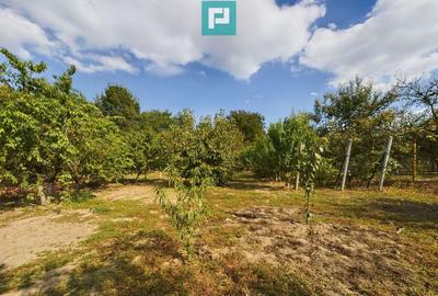 Casa cu teren 2877 mp, ora?ul Ineu - 9